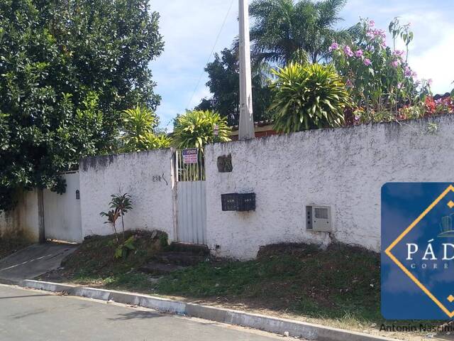 #105 - Chácara para Venda em Miracatu - SP